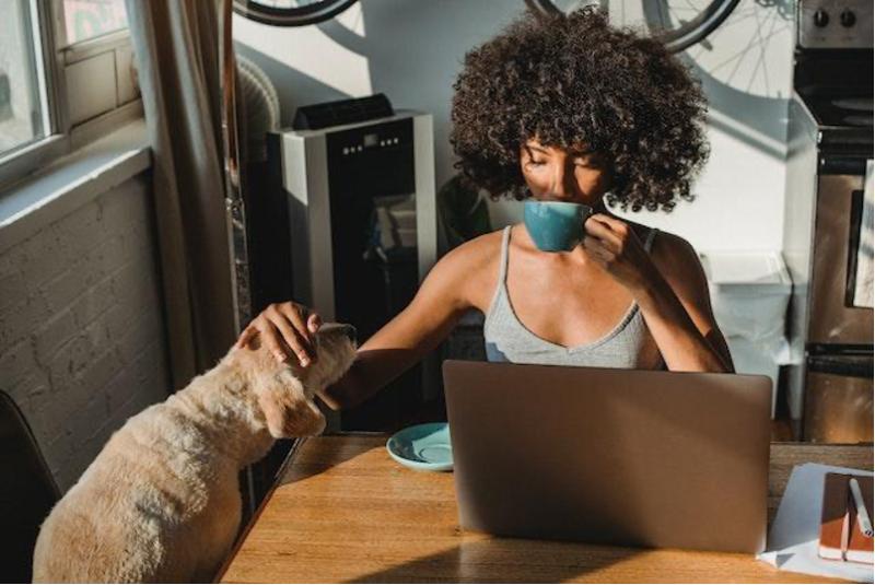 A woman and her pet looking at pet-friendly rentals on a laptop.